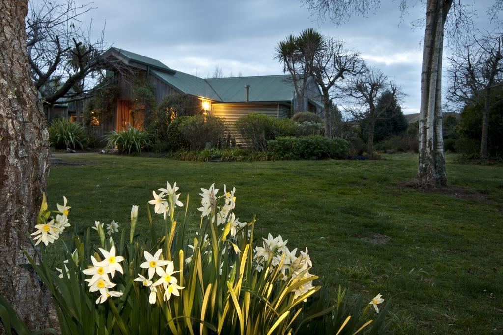 Whakaipo Lodge Taupomeer Buitenkant foto